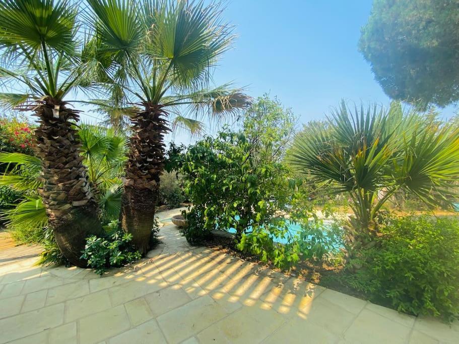 Atlantide - Somptueuse Villa Classee 4 Etoiles - Saint-Clair - Vue Exceptionnelle - Piscine Sète Exteriör bild